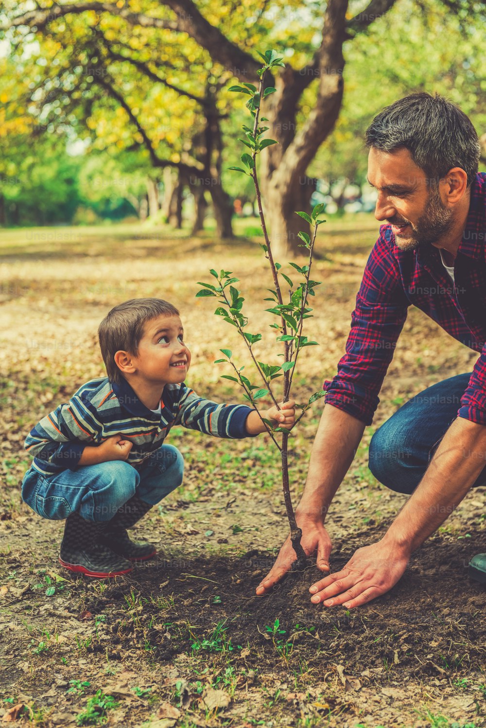 Playful little boy helping his father to plant the tree while working together in the garden