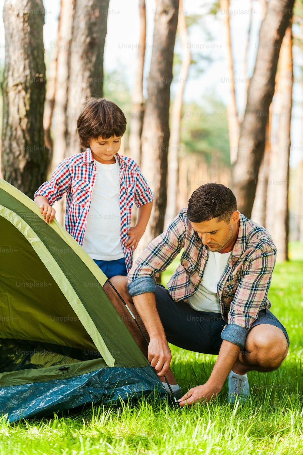 Pai e filho alegres armando uma barraca enquanto acampam juntos na floresta