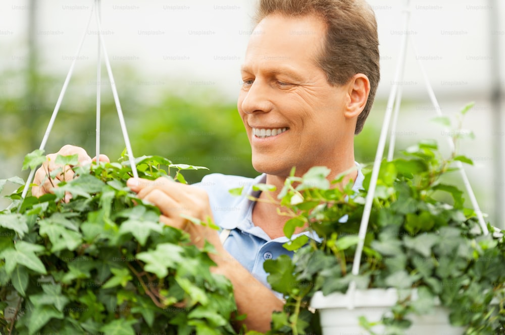 Handsome mature man working in a garden and smiling