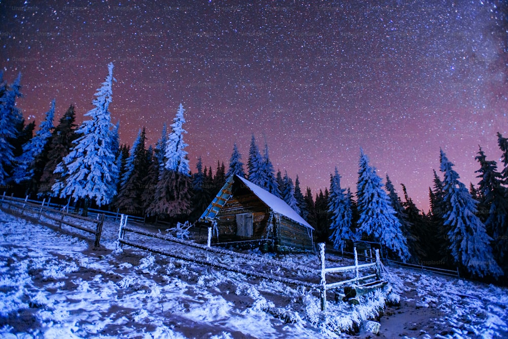 Cabane dans les montagnes. Fantastique pluie de météores d’hiver et montagnes enneigées. Carpates, Ukraine, Europe.