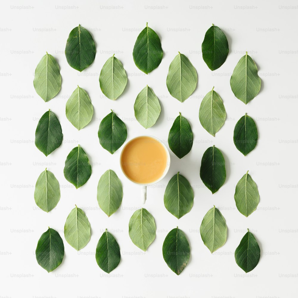 Café o té sobre patrón de hojas verdes sobre fondo blanco. Plano tendido.