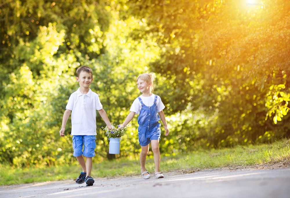 Cute little boy and girl taking a walk outside in nature on a sunny summer day