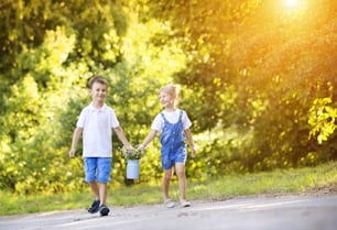 Cute little boy and girl taking a walk outside in nature on a sunny summer day
