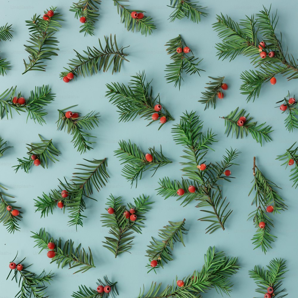 Pattern made of christmas tree branches and red berries on blue background. Christmas concept. Flat lay.