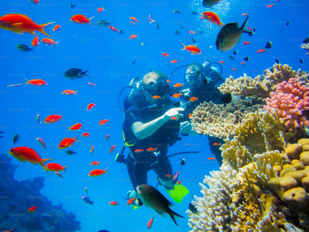 Viagem fascinante ao longo da costa do Mar Vermelho, Egito. Mergulho nos recifes de coral. Lazer emocionante e um estilo de vida saudável