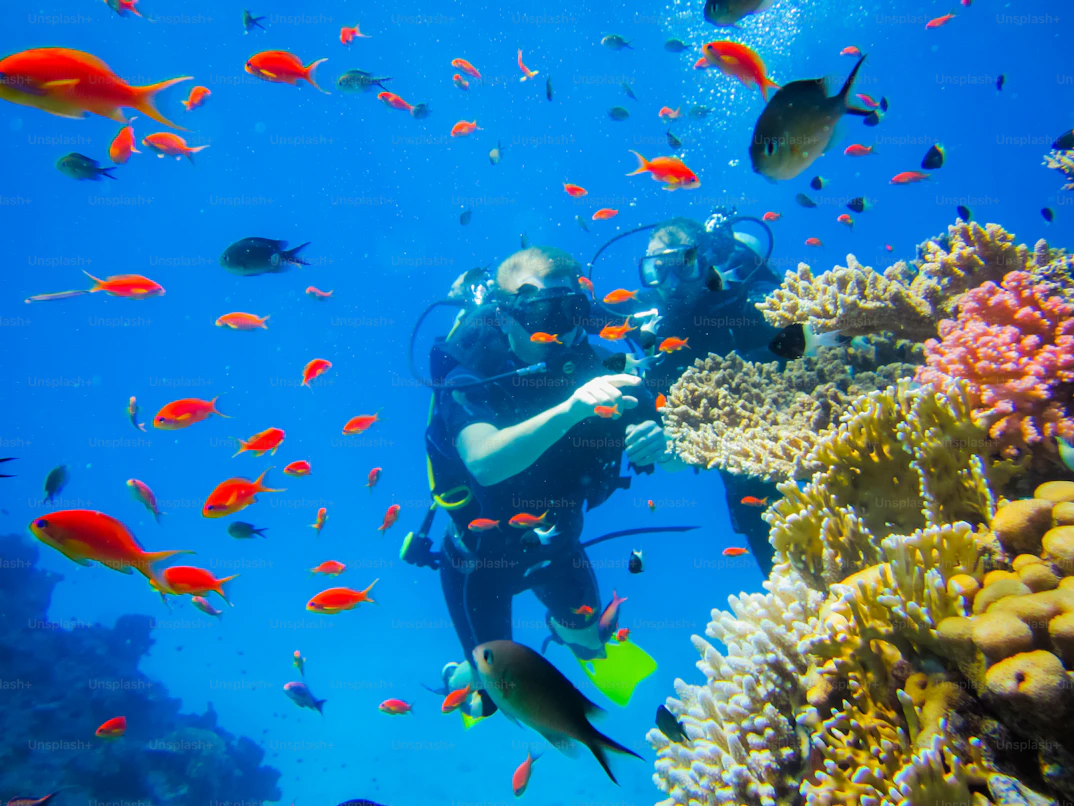 Scuba diving in the clear waters of the Red Sea