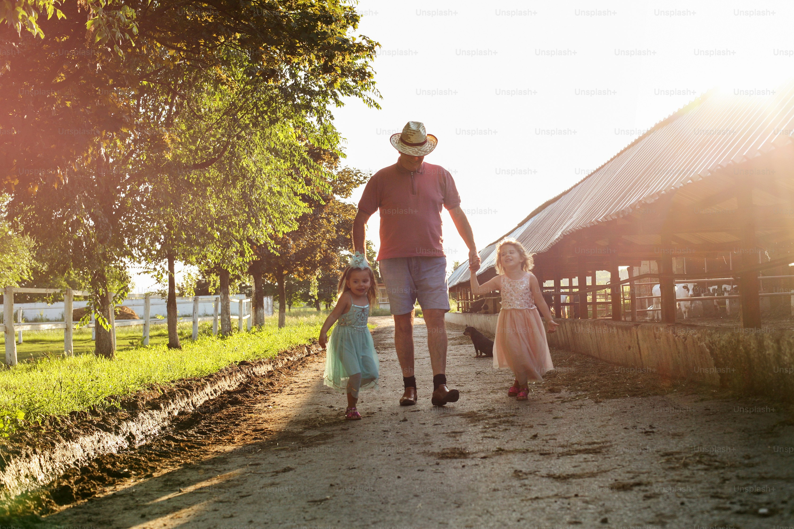 Two little girl and grandpa on the village, they walking together and visiting farm.