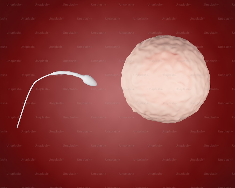 3D-Rendererbild. Spermatozoonen, die zur Eizelle gehen.  Befruchtung. Besamungskonzept.