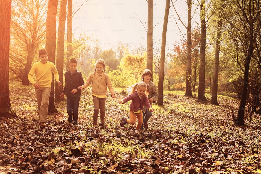 Large group of children running in the park. Autumn season.