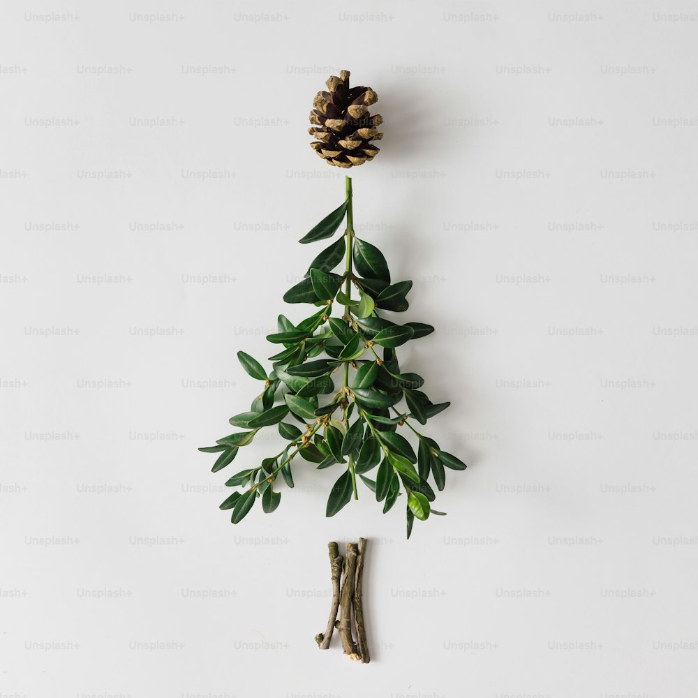 Christmas tree made of leaves and branches. Flat lay. Holiday concept.