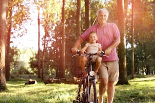Senior man with granddaughter in bicycle basket, walking and looking at the camera.