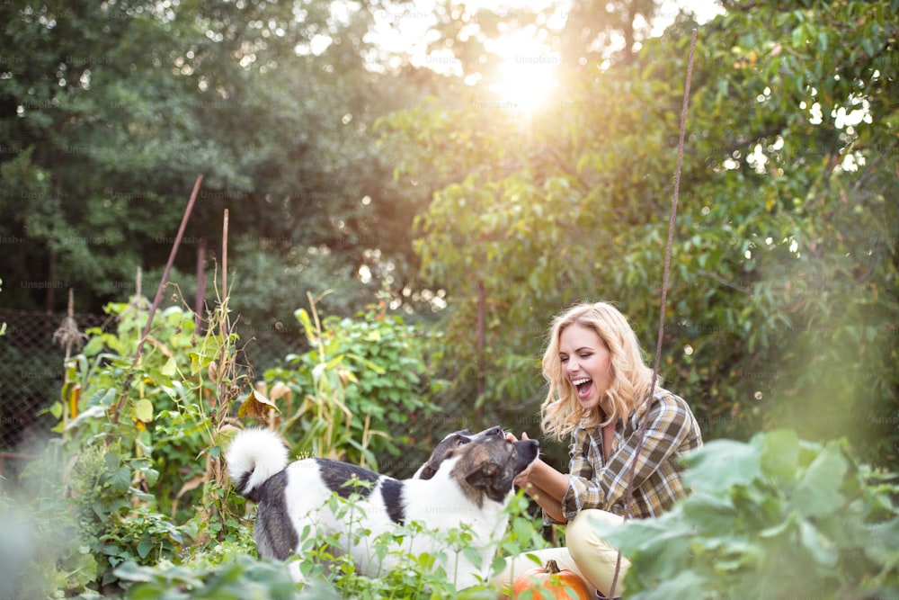 Beautiful blond woman with her dogs in green garden