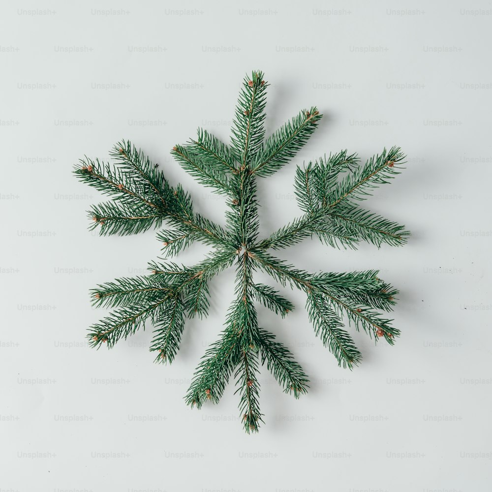Snowflake made of Christmas tree branches. Flat lay. Winter concept.
