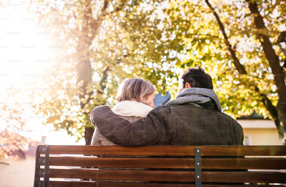 Senior couple sitting on bench, sunny autumn nature. Rear view