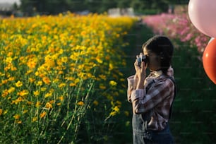 Asian Girl take a photo by vintage camera over cosmos field.