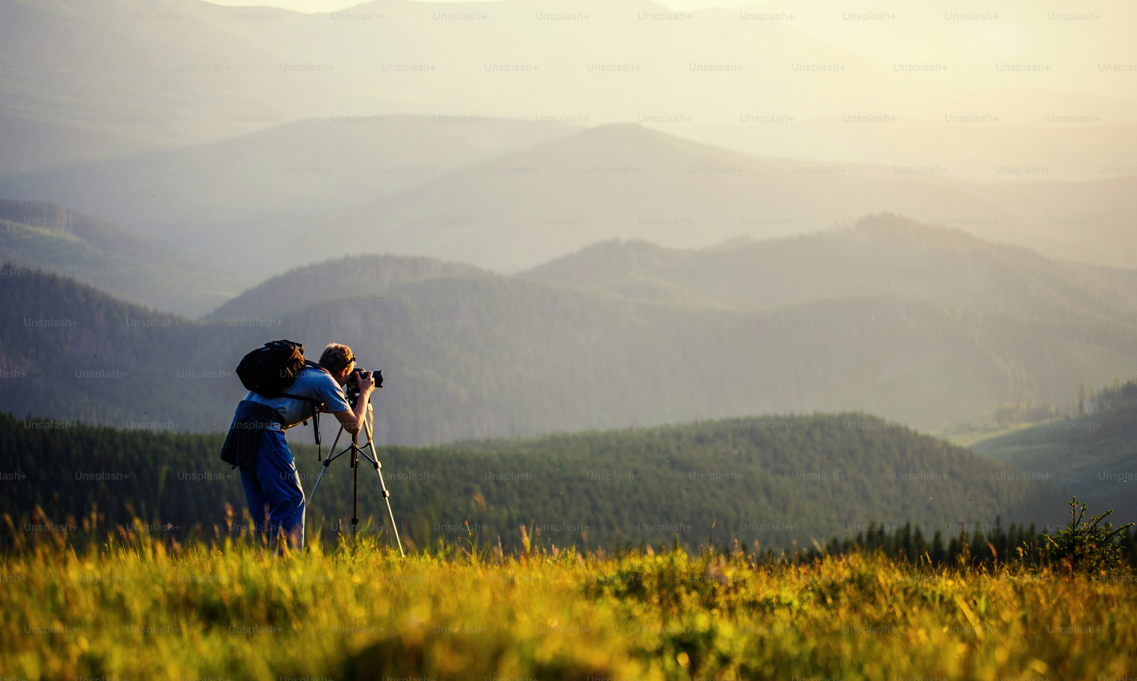 photographer photographed mountains in summer, photographs fog.