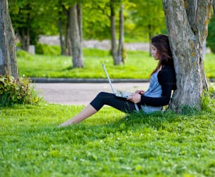 woman on grass with laptop in summer park