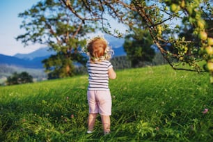 Kleines süßes Mädchen mit einem Kranz auf dem Kopf im Garten in der Nähe des Baumes