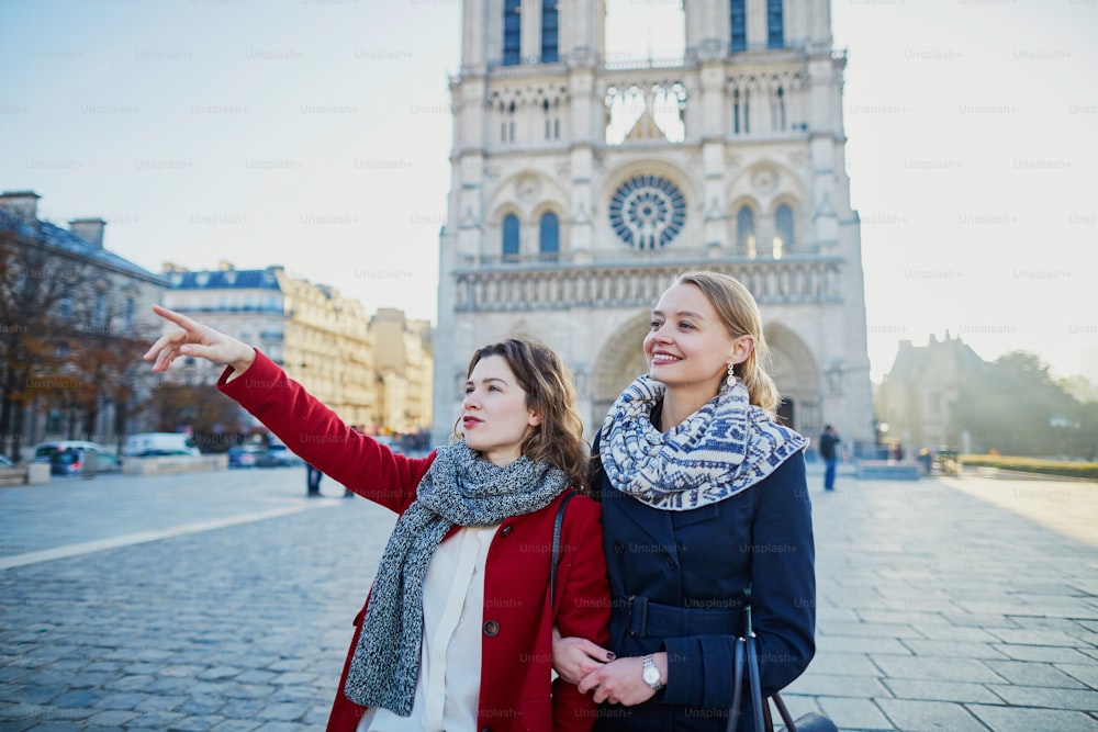 Two young girls walking together in Paris near Notre-Dame cathedral. Tourism or friendship concept