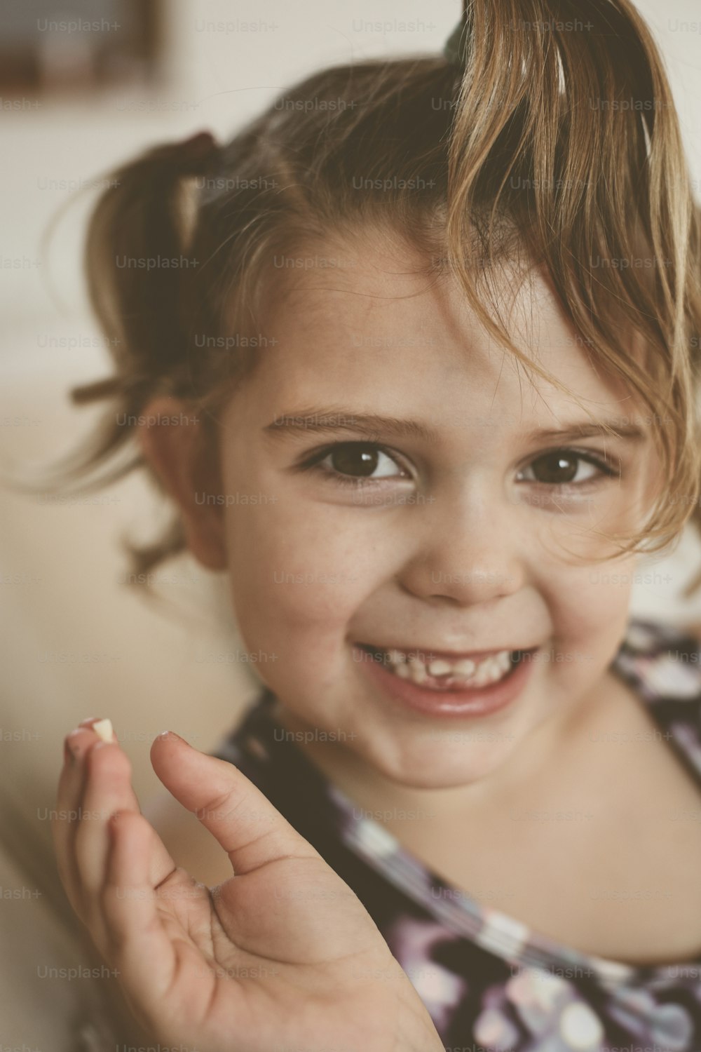 Kleines Mädchen zeigt ihren ersten losen Zahn. Blick in die Kamera.
