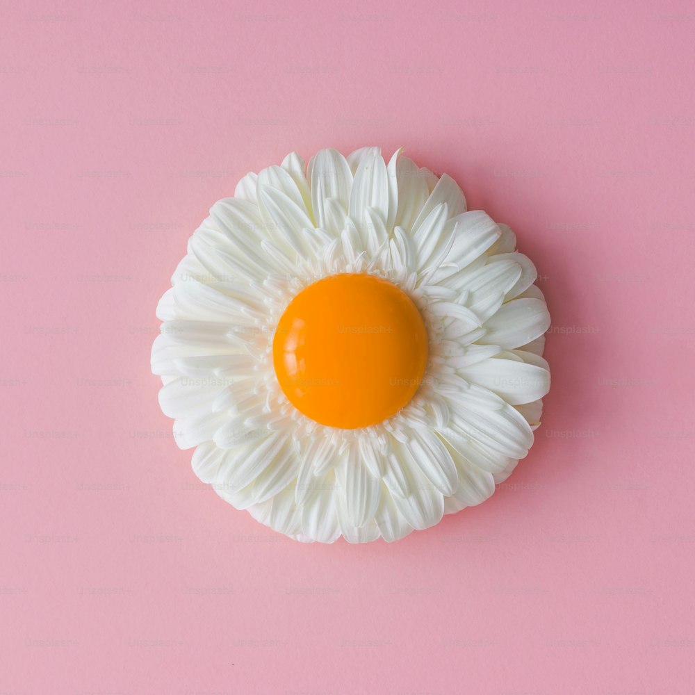 Flor de margarita con yema de huevo. Concepto minimalista. Plano tendido.