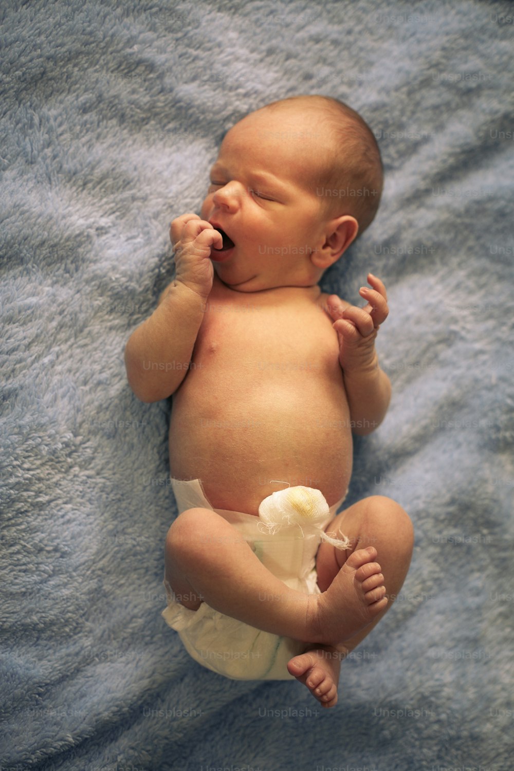 Newborn baby boy. Above view.