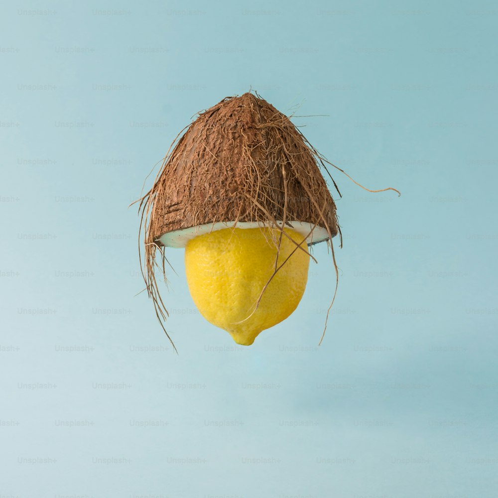 Lemon with coconut hat on pastel blue background. Funny food creative concept.