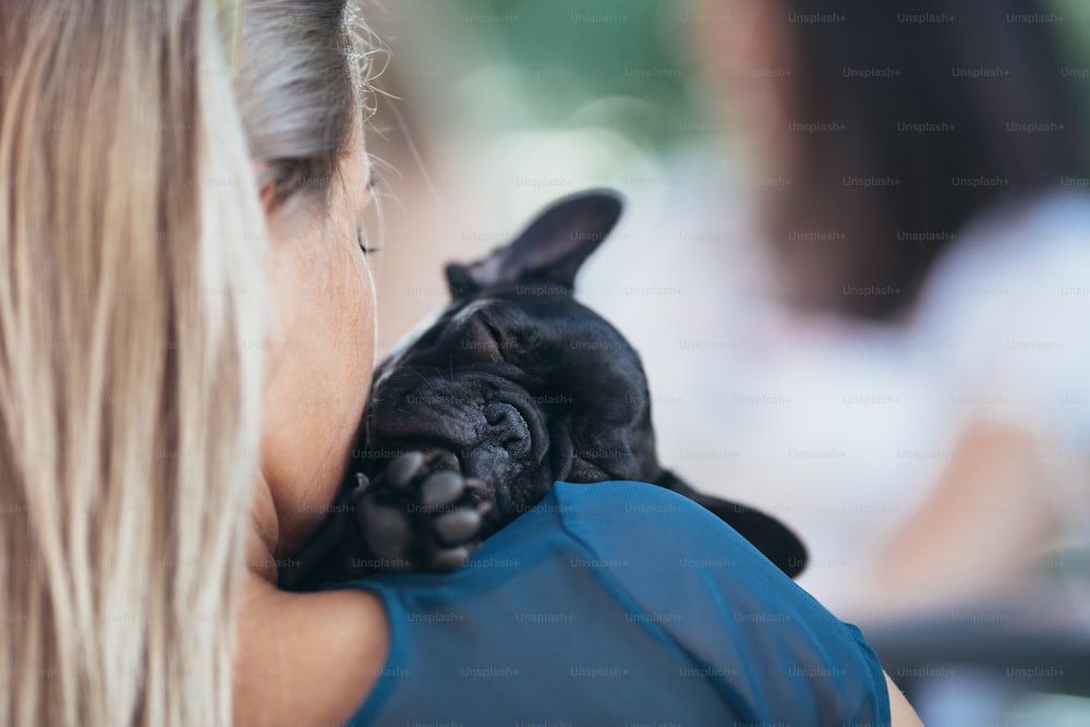 Beautiful young woman sitting in cafe with her adorable French bulldog puppy. People with dogs theme. Close up and selective focus on dog's head.