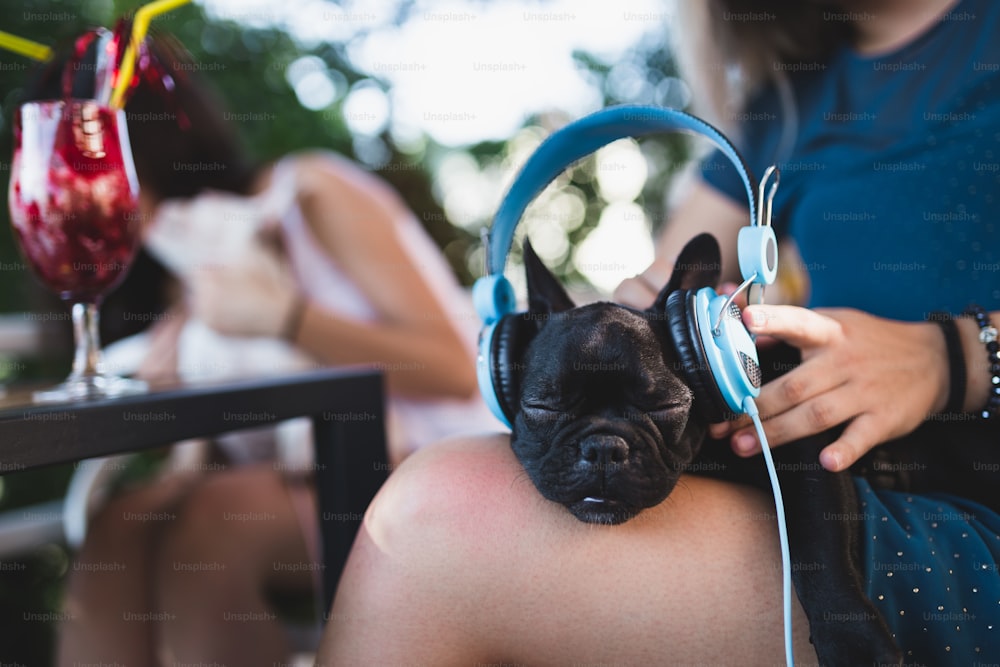 Beautiful young woman sitting in cafe with her adorable French bulldog puppy. Spring or summer city outdoors. People with dogs theme.