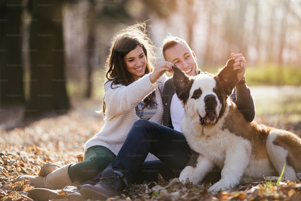 Jovem casal desfrutando da natureza ao ar livre, juntamente com seu adorável filhote de São Bernardo. Tema de pessoas e cães.
