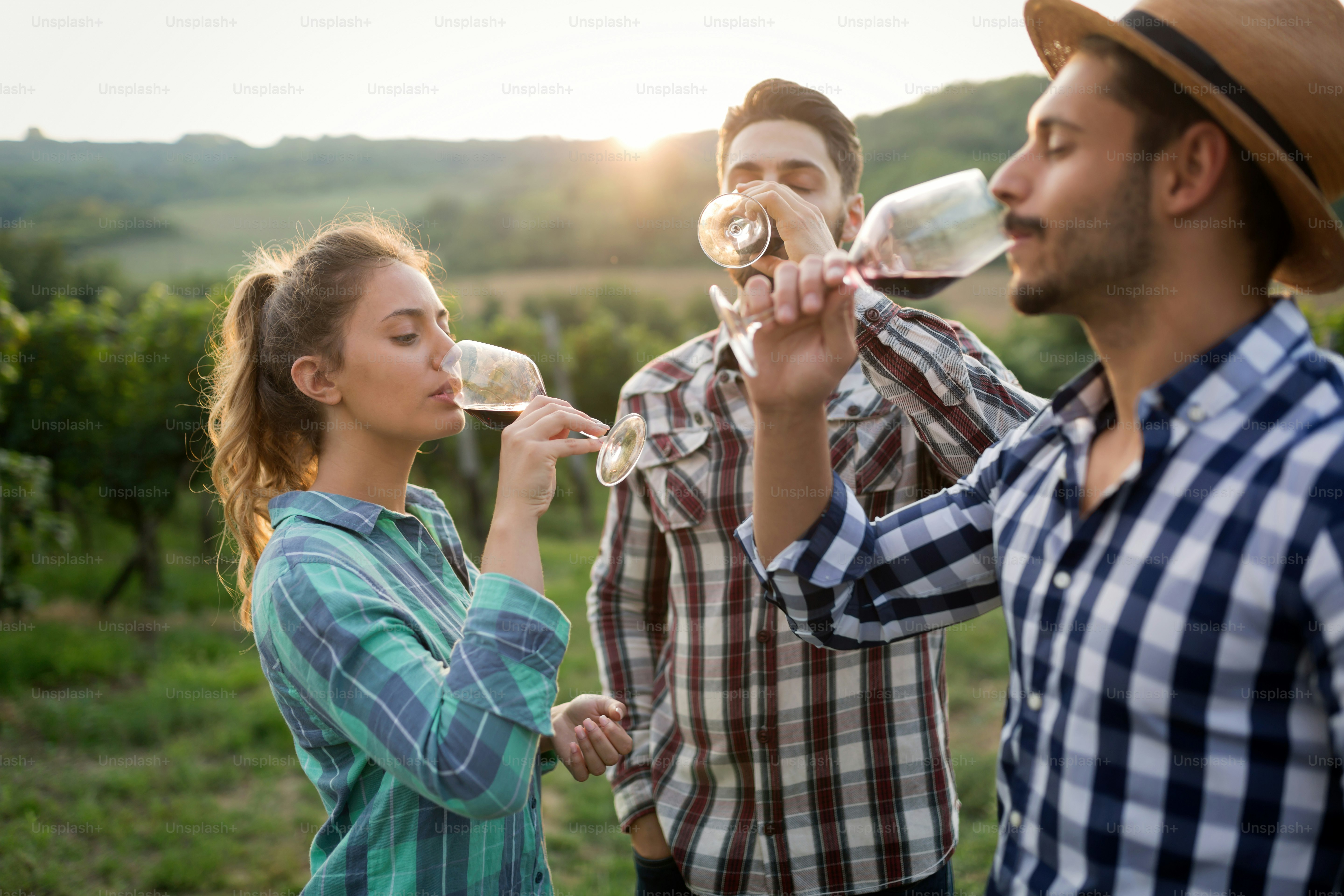 Glückliche Menschen probieren Wein im Weinberg