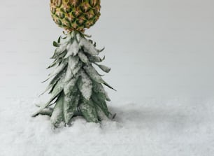 パイナップルと雪でできた冬の風景。クリスマスのコンセプト。