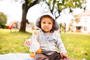 Cute baby boy on the grass in the garden. Toddler playing in nature.