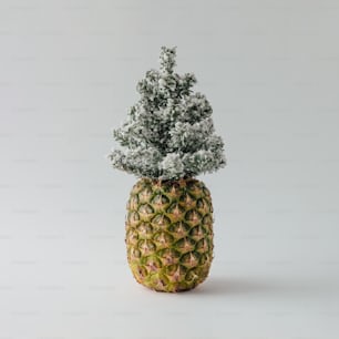 Pineapple and winter Christmas tree. Holiday concept.