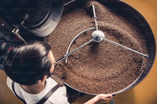 Vista superior: trabajador tostador de café que controla los granos que caen en la máquina profesional de enfriamiento giratorio. Concepto arábica