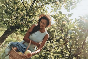Mujer joven atractiva recogiendo manzanas y sonriendo mientras está de pie en el jardín