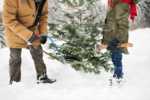 Unrecognizable grandfather and a small girl getting a Christmas tree in forest. Winter day.