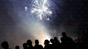 Crowd watching fireworks and celebrating new years eve