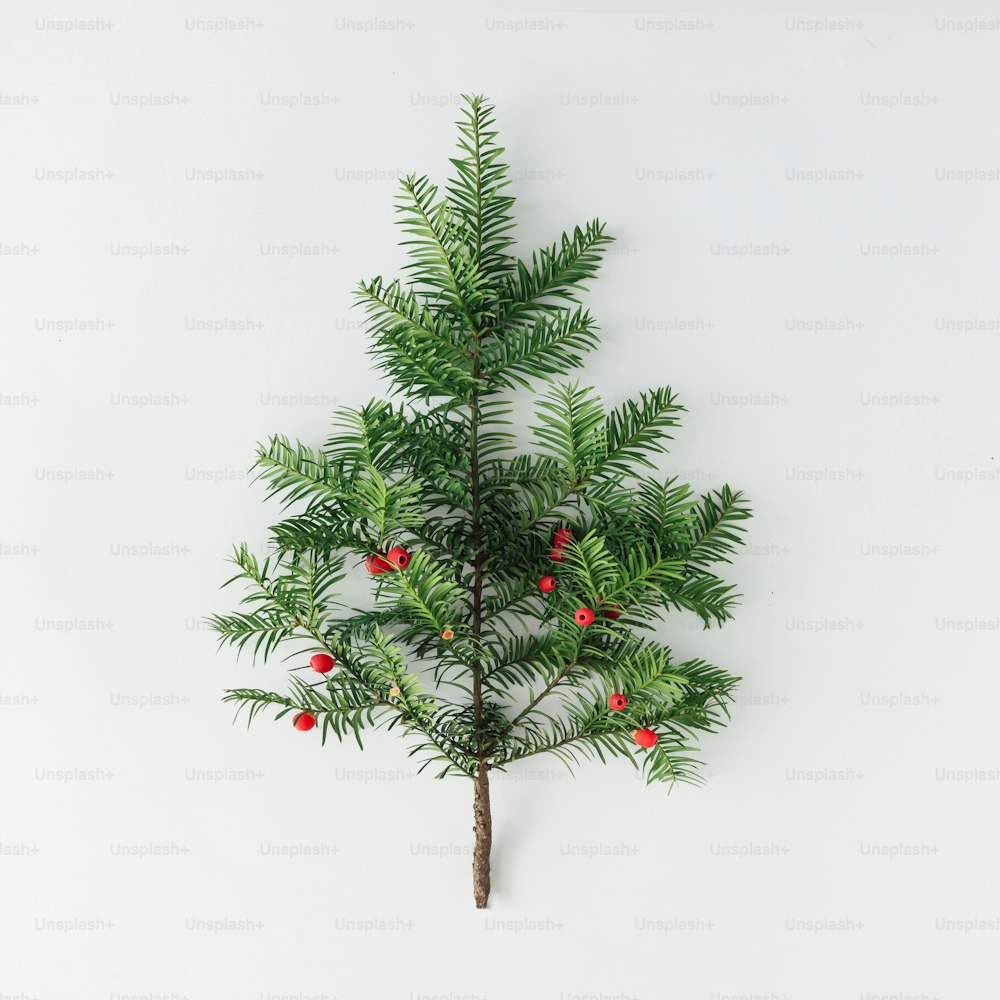 Creative layout made of Christmas tree pine branch. Holiday background. Flat lay.