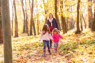 晴れた秋の日に公園で2人の娘と楽しんでいる妊娠中の母親。