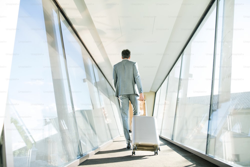 スーツケースを持って廊下を歩き、旅行する成熟したビジネスマン。背面図。