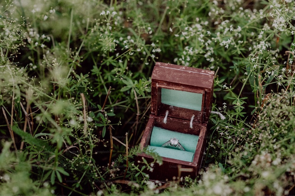 An engagement ring in an opened wooden box on grass.