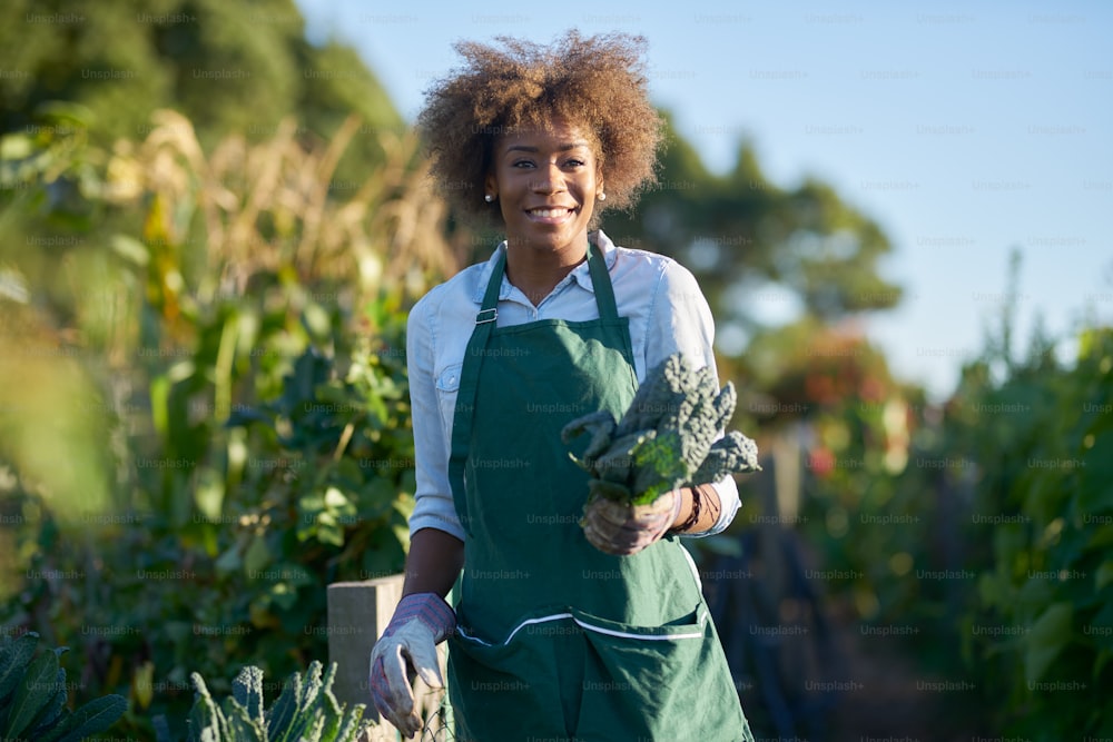 mulher afro-americana segurando couve recém-colhida do jardim comunitário comunal posando para retrato