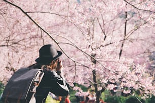 Hermosa viajera Haciendo turismo en Chiang Mai Tailandia tomar una foto con flor de cerezo rosa