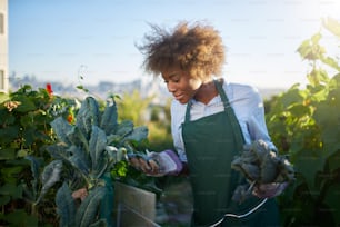 Donna afroamericana che si prende cura del cavolo riccio nel giardino urbano comunale con riflesso dell'obiettivo sullo sfondo