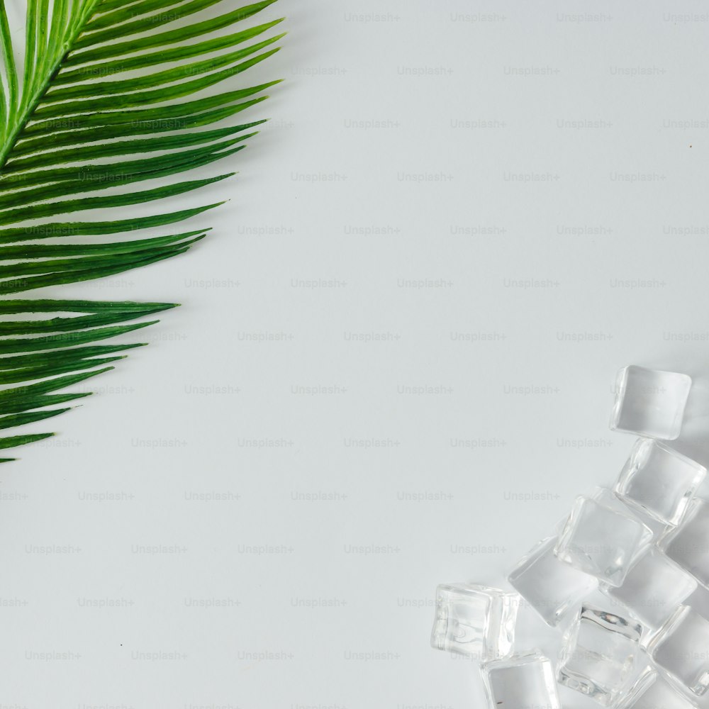 Creative layout of ice cubes and palm leaves on bright background. Flat lay summer drink minimal concept.