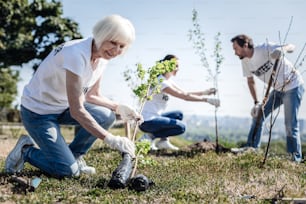 Young tree. Cheerful nice aged woman holing a young tree and looking at it while taking part in the eco project