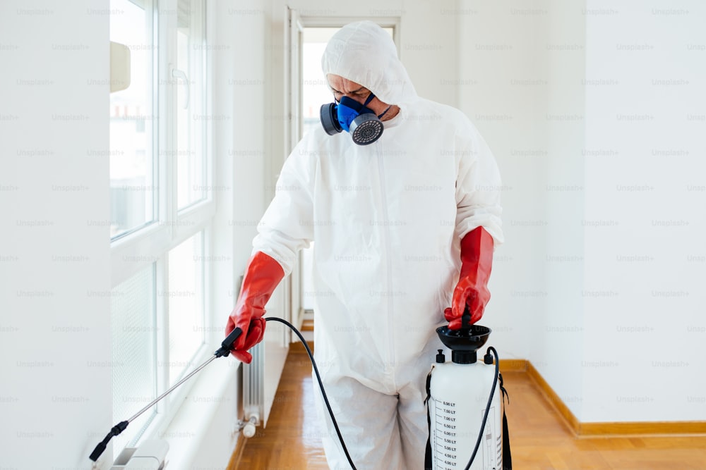 Exterminator in work wear spraying pesticide or insecticide with sprayer