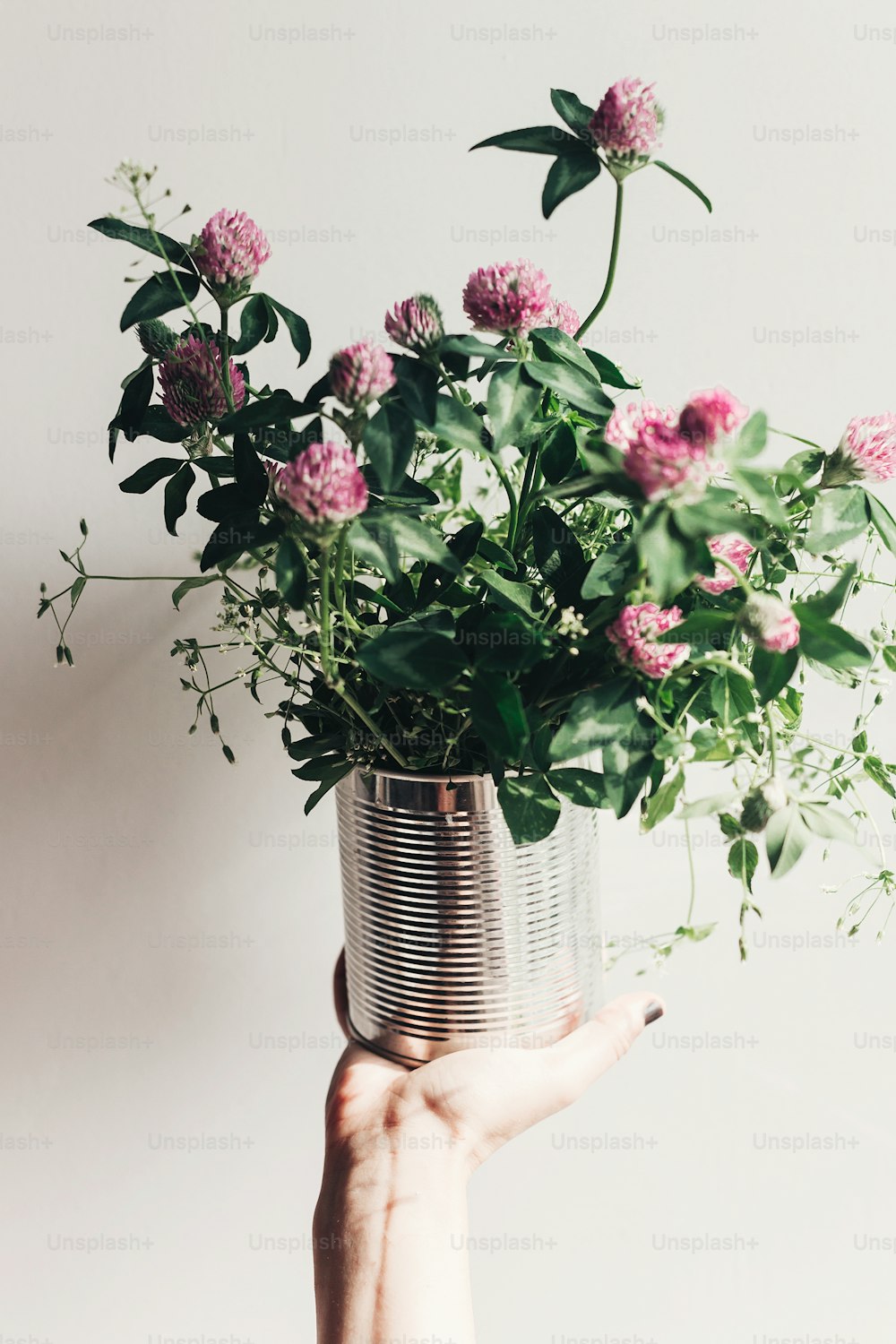 hand holding clover bouquet with pink flowers in metallic cane. wildflowers in rustic rural home. country slow living