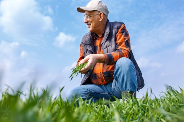 Magyar mezőgazdaság